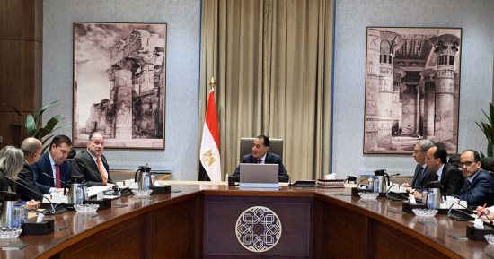 رئيس الوزراء يبحث مع رئيس بلومبرج جرين شراكات في الأمن الغذائي والدوائى