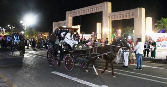 أسوان تشدد على تركيب حفاضات للأحصنة ضمن منظومة ضبط عمل الحنطور