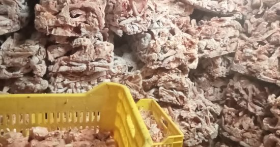 ضبط 45 طن لحوم فاسدة ومذبوحة خارج المجازر فى الجيزة خلال شهر