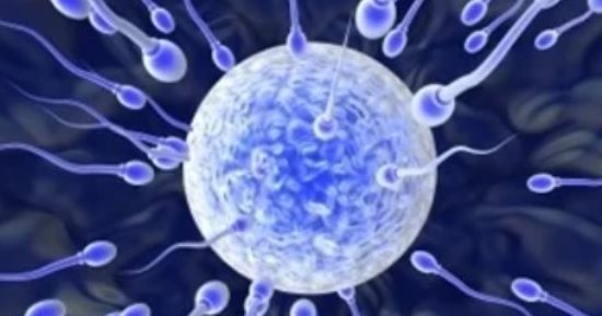 هذه الدول تحركت لتلافى كوارث التبرع بالحيوانات المنوية.. ما هى أبرز التشريعات؟