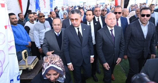 محافظ القاهرة ووزير التموين يتفقدان سوق اليوم الواحد بالمرج.. يوفر سلعا بسعر مخفض