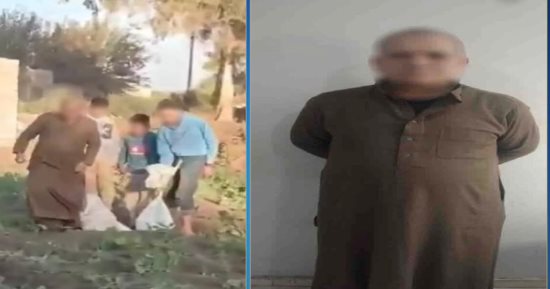 بعد انتشار فيديو لشخص يجمع كلاب صغيرة للتخلص منها.. تعرف على عقوبة الاعتداء على الحيوانات