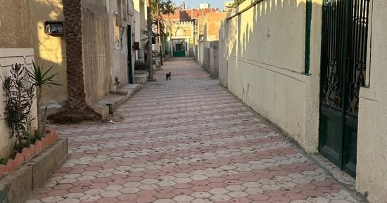 أهالى قحافة فى طنطا يسطرون ملحمة مجتمعية.. رصف شواع المقابر بالانترلوك وعمل بوابات على المداخل والمخارج بجهود ذاتية.. الأهالى جمعوا مليون و600 ألف جنيه لتنفيذ الفكرة.. والأطفال يتبرعون بالحصالات للمشاركة.. صور