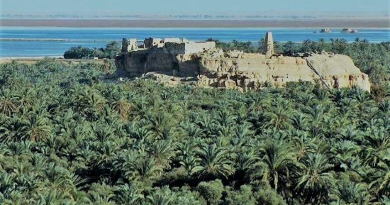 واحة سيوة.. كنز الصحراء الغربية وأيقونة السياحة الشتوية.. ارتفاع نسب حجوزات الفنادق والمنتجعات خلال أعياد الكريسماس وإجازة نصف العام.. وتنوع المقاصد الطبيعية والثقافية ورحلات السفارى تجذب هواة المغامرة.. صور