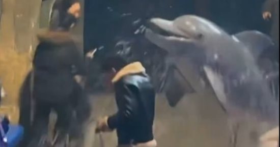 حقيقة ولا Ai؟.. حوت أبيض يفاجئ شاب ويطفئ سيجارته برش الماء عليه "فيديو"