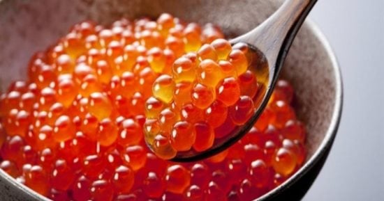 طعام أكثر فائدة من الكافيار وأرخص 100 مرة.. تناوله بانتظام