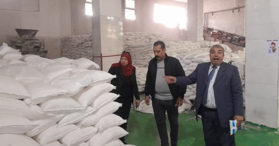 ضبط 8 أطنان مواد غذائية و100طن ملح بدون مستندات ومجهولة المصدر بقويسنا