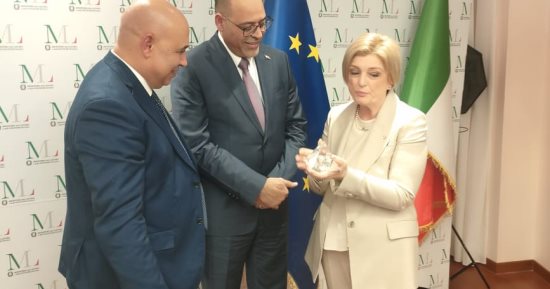 وزير العمل ونظيرته الإيطالية يقررا إنشاء مركز تشغيل مصري–إيطالي لتأهيل وتوظيف العمالة