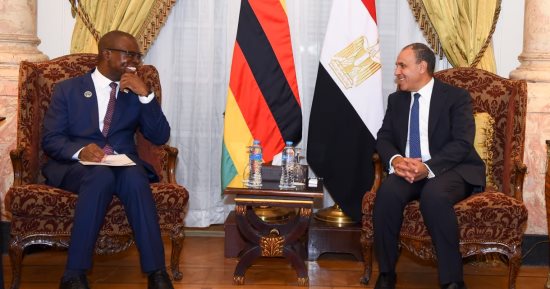 بدر عبد العاطى يلتقى وزير خارجية زيمبابوى لتعزيز التعاون الثنائى