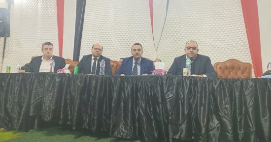 بالأرقام.. مؤشرات اللجنة العامة رقم 6 بدائرة منوف سرس السادات (فيديو)