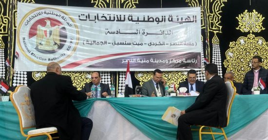 موشرات أولية بتقدم مرشحين حماة ومستقبل وطن بالدائرة السادسة في الدقهلية