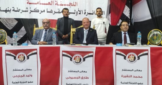 اللجنة العامة ببنها وكفر شكر تعلن الحصر العددى لجولة الإعادة بانتخابات النواب