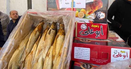 سوق اليوم الواحد فى حدائق الأهرام يطرح كيلو الرنجة بـ125 جنيها