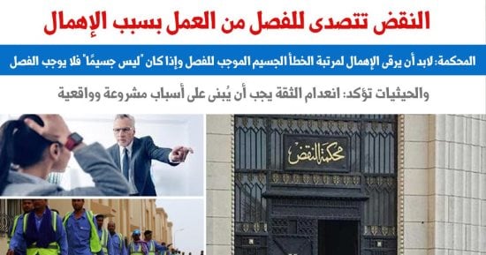 محكمة النقض توضح الإهمال والخطأ الموجب للفصل من العمل.. عن برلمانى