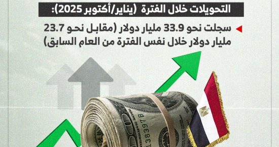 33.9 مليار دولار خلال 10 أشهر.. قفزة تاريخية فى تحويلات المصريين بالخارج 