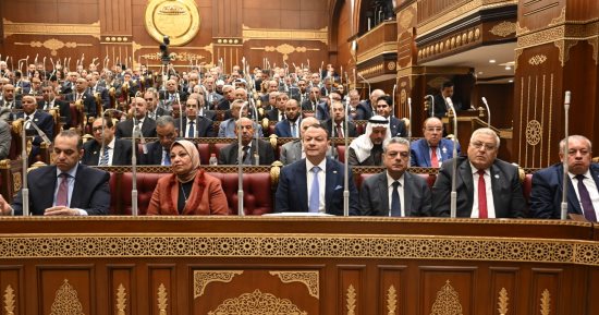 الشيوخ يشدد العقوبات على جرائم الاستيلاء غير المشروع على التيار الكهربائى
