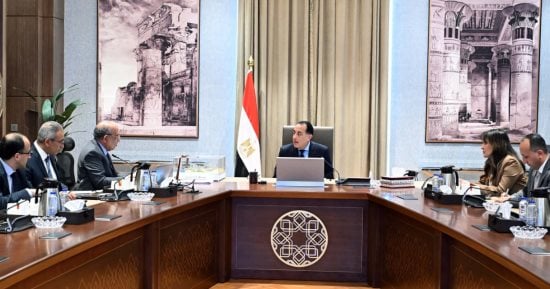 مدبولى: توجيهات من الرئيس بتوفير أوجه الدعم المطلوبة لمشروعات الطاقة المتجددة