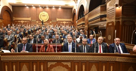 برلمانيون يطالبون بتمييز العقوبات بين استهلاك الكهرباء السكنى والصناعى