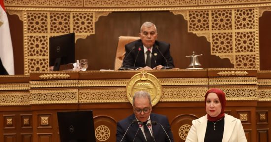 رئيس مجلس الشيوخ: التعاون مع الحكومة ليس ترفا بل ركيزة لنجاح العملية التشريعية