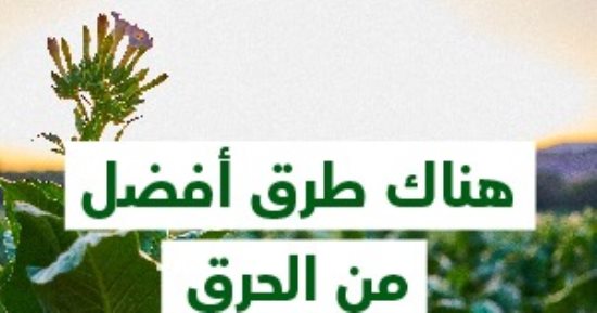 هناك طرق أفضل من الحرق