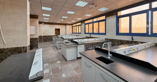 الاحصاء: 2.6 % زيادة فى أعداد الطلاب المقيدين بالتعليم العالى عام 2024 / 2025