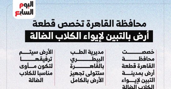 محافظة القاهرة تخصص قطعة أرض لإيواء الكلاب الضالة.. إنفوجراف