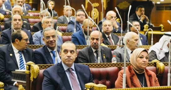 الشيوخ يناقش اليوم قانون نقابة المهن الرياضية لتعزيز التنظيم المهنى والجامعى
