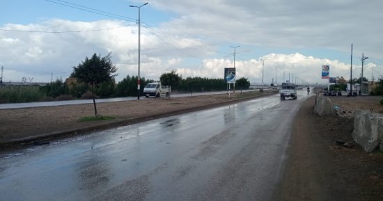 سقوط أمطار بكفر الشيخ وهبوب رياح.. فيديو