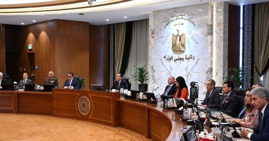 تغليظ العقوبات فى جرائم المرور.. الحكومة: ضبط أى سيارة تسير بدون ترخيص أو منتهية التراخيص ويُستحق عنها الضريبة كاملة.. غرامة مغلظة للسير عكس الاتجاه.. ولا تزيد عن 15 ألف جنيه لأصوات السيارات أو لانبعاث الدخان