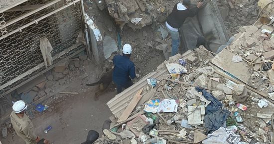 الاستعانة بالكلاب البوليسية للبحث عن مفقودين أسفل عقار إمبابة المنهار.. صور