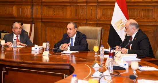 وزير الخارجية: المصريون بالخارج ثروة وطنية