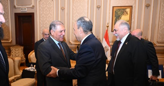 عفت السادات: لقاء وزير الخارجية بمجلس الشيوخ سلط الضوء على كافة الملفات