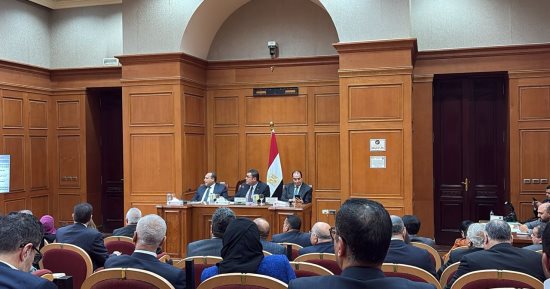 فيلا جمال عبر الناصر بالمعادى تثير جدلا تحت قبة مجلس الشيوخ.. اعرف قصتها