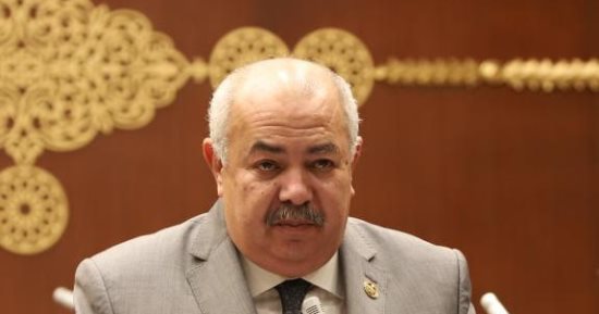 عضو بالشيوخ: المشروعات القومية تعزز الاكتفاء الذاتى من القمح والأرز