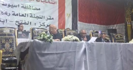 تعرف على الحصر العددي في جولة الإعادة بالدائرة الثالثة بأسيوط (فيديو)