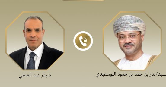 وزير الخارجية يؤكد دعم مصر لوحدة اليمن وسلامة أراضيه