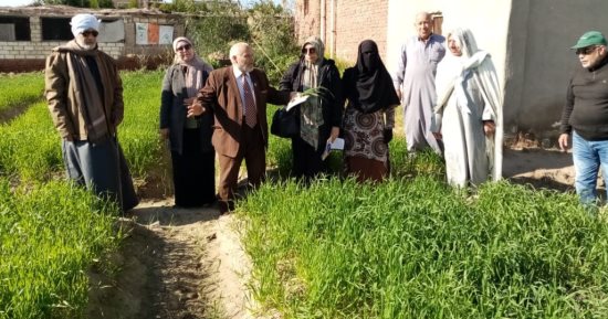زراعة الإسماعيلية تتابع ميدانيًّا زراعات القمح بالقنطرة غرب ضمن الحملة القومية