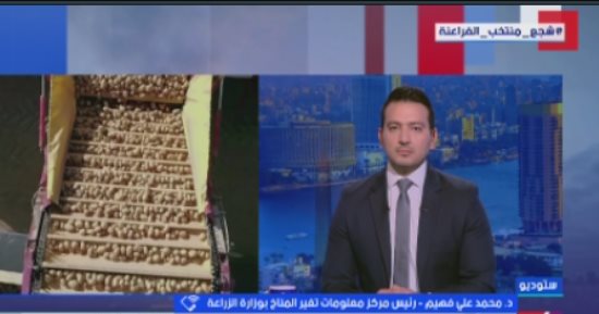 رئيس مركز معلومات تغير المناخ بالزراعة يوجه تحذيرات عاجلة للمزارعين لمواجهة موجة البرد