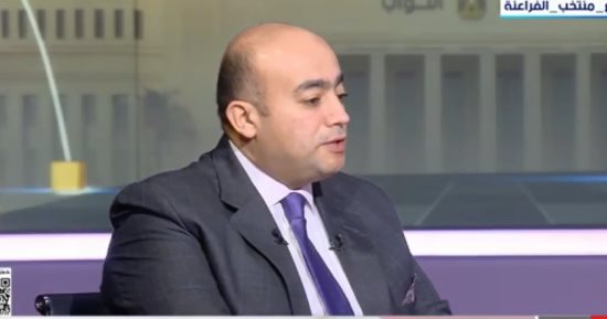 محلل سياسي: الدولة تحترم إرادة الناخب وحقه في اختيار من يمثله