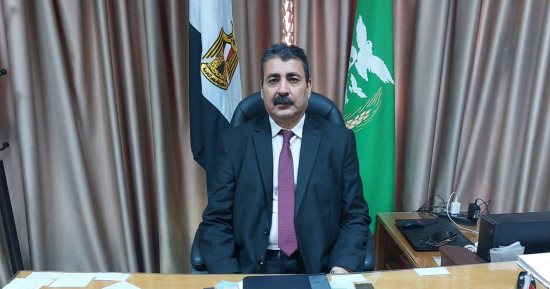 تحرير 490 مخالفة خلال حملات تموينية مكثفة بالمنوفية