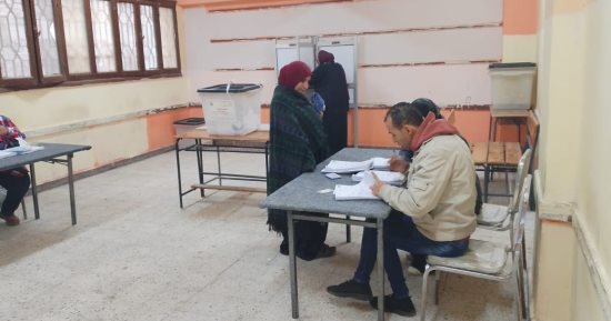 اللجنة العامة للدائرة الثانية بالوادى الجديد تعلن الحصر العددى للانتخابات