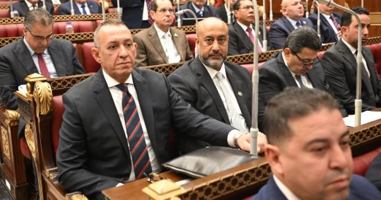 وكيل خارجية الشيوخ: لقاء السيسي ووزير خارجية السعودية يعكس وحدة الصف العربي