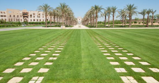 اختيار الجامعة الأمريكية بالقاهرة ضمن أفضل الجامعات الخضراء بالعالم لعام 2026