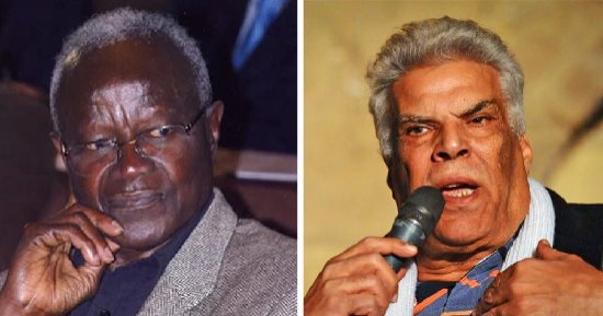 مصر VS بنين.. الأدب المصرى يواجه الأفريقى