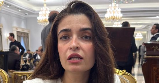 النائبة إيرين سعيد تفتح ملف صناعة الدواء فى حوار لــ"اليوم السابع": الشركات المصرية مبتصنعش الدواء بتركبه فقط وده سبب ارتفاع أسعاره.. ومقترح للإعلان عن استراتيجية كاملة لتوطين الصناعة.. وتكشف أزمة ذوى الهمم