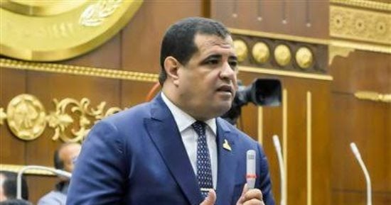 عضو الشيوخ: كلمة الرئيس السيسي بعيد الميلاد تؤكد مدى وحدة المصريين