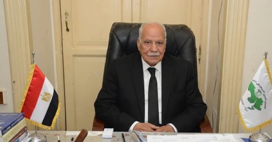 الحزب العربى الناصرى: كلمة الرئيس من الكاتدرائية أكدت على جوهر الدولة ووحدة الشعب