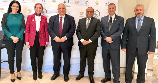 وفد البترول يبحث فى نيقوسيا تنفيذ ربط الغاز القبرصى بالتسهيلات المصرية