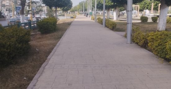 نشاط للرياح وانخفاض فى درجات الحرارة وسطوع للشمس بالمنيا.. فيديو