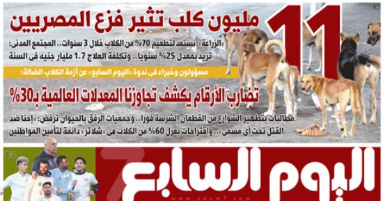 اليوم السابع: 11 مليون كلب تثير فزع المصريين